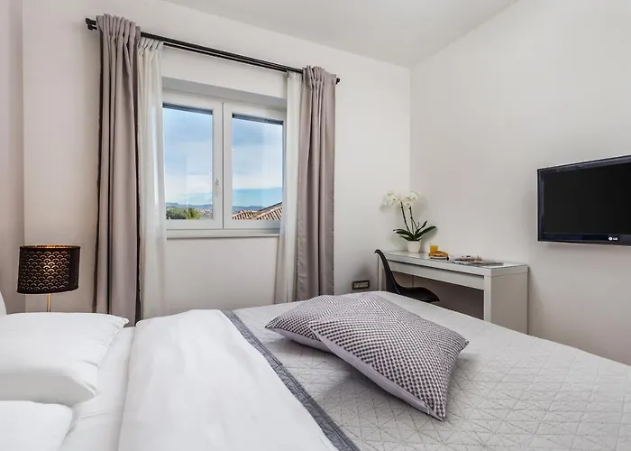 New Cosy Ivan אופטיה